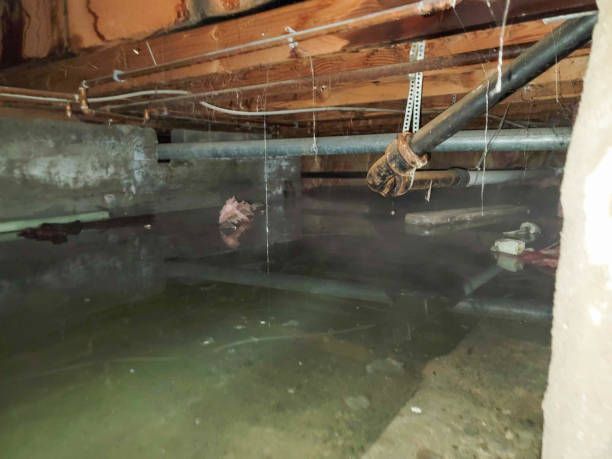 Best 24-hour water damage restoration  in Somerville, TN