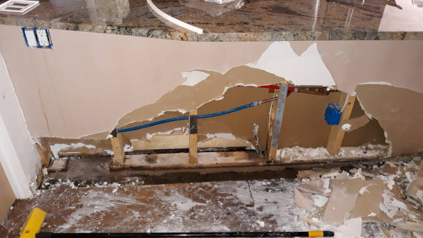 Best Water damage contractors near me  in Somerville, TN