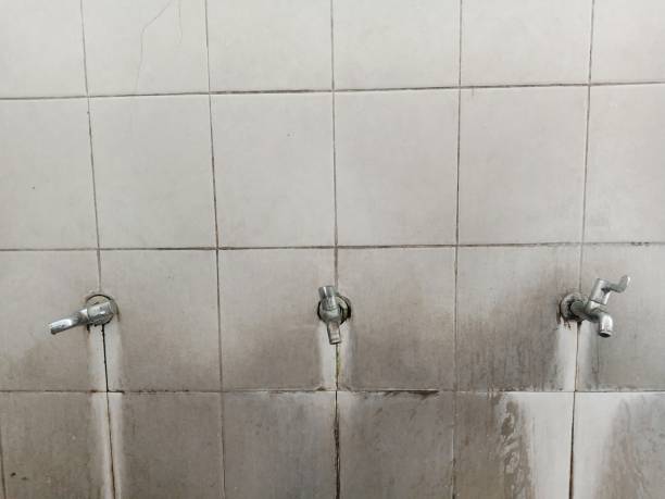 Best Water damage cleanup near me  in Somerville, TN