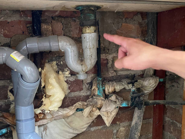 Best Water damage contractors near me  in Somerville, TN