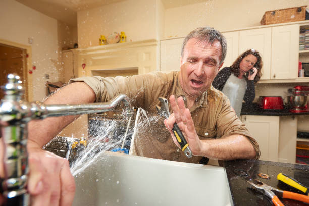 Best Water damage restoration near me  in Somerville, TN